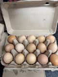 Open carton of pasture-raised chicken eggs in mixed brown, tan, and speckled shells — Base Camp Farm & Ranch, Rusk, Texas