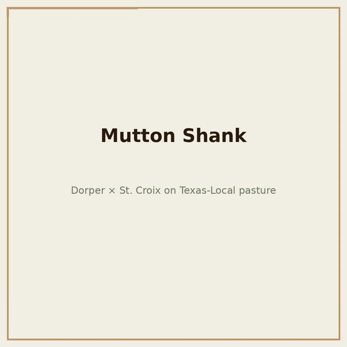 Mutton shank, osso buco cut, Dorper x St. Croix — Base Camp Farm & Ranch